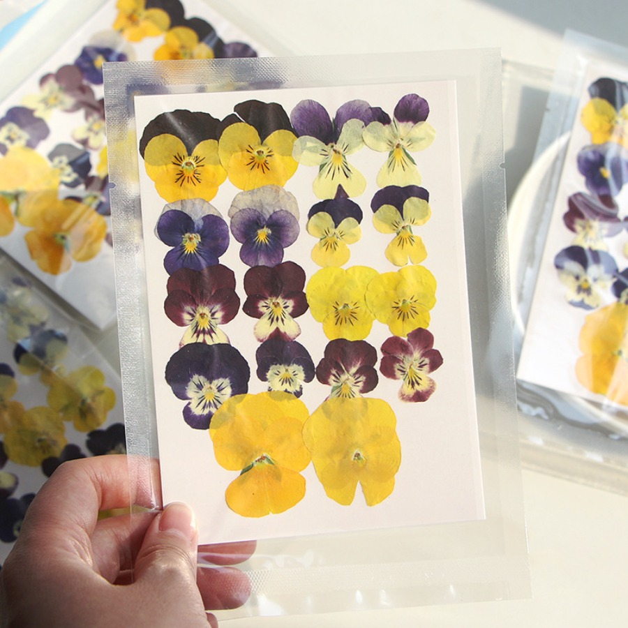 Viola Dried Pressed Flower Cra - Dried Flower Bookmark recension och pris