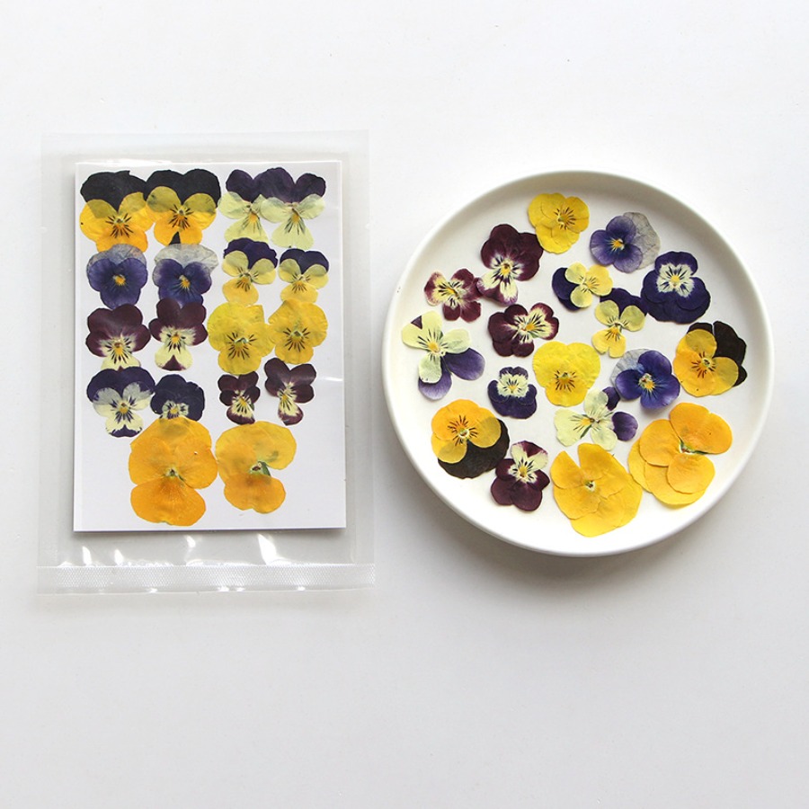 Viola Dried Pressed Flower Cra - Dried Flower Bookmark recension och pris