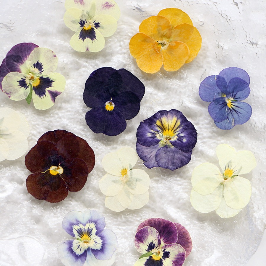 Viola Dried Pressed Flower Cra - Dried Flower Bookmark recension och pris