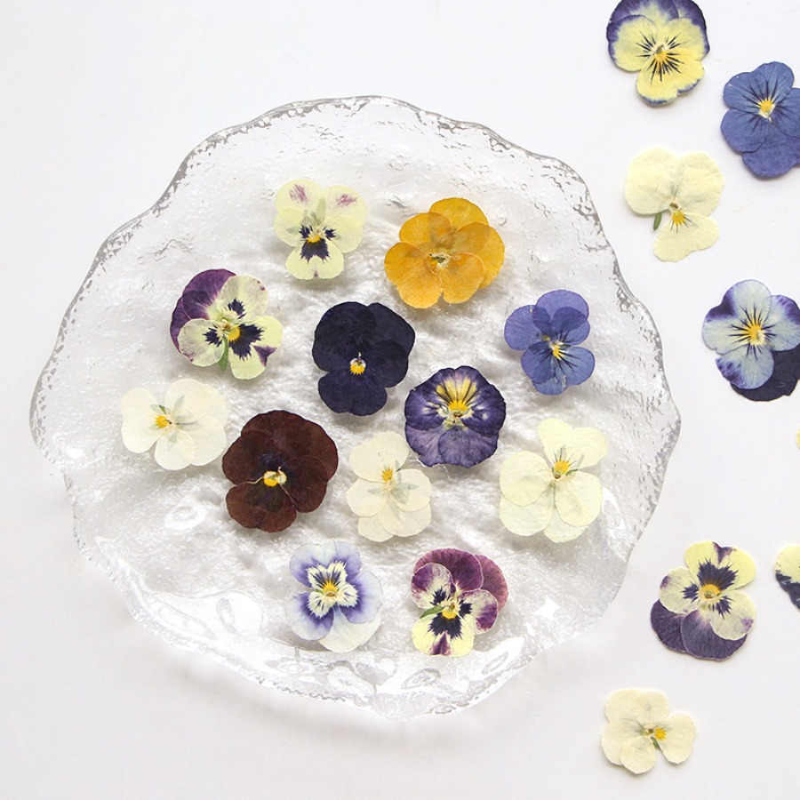 Viola Dried Pressed Flower Cra - Dried Flower Bookmark recension och pris