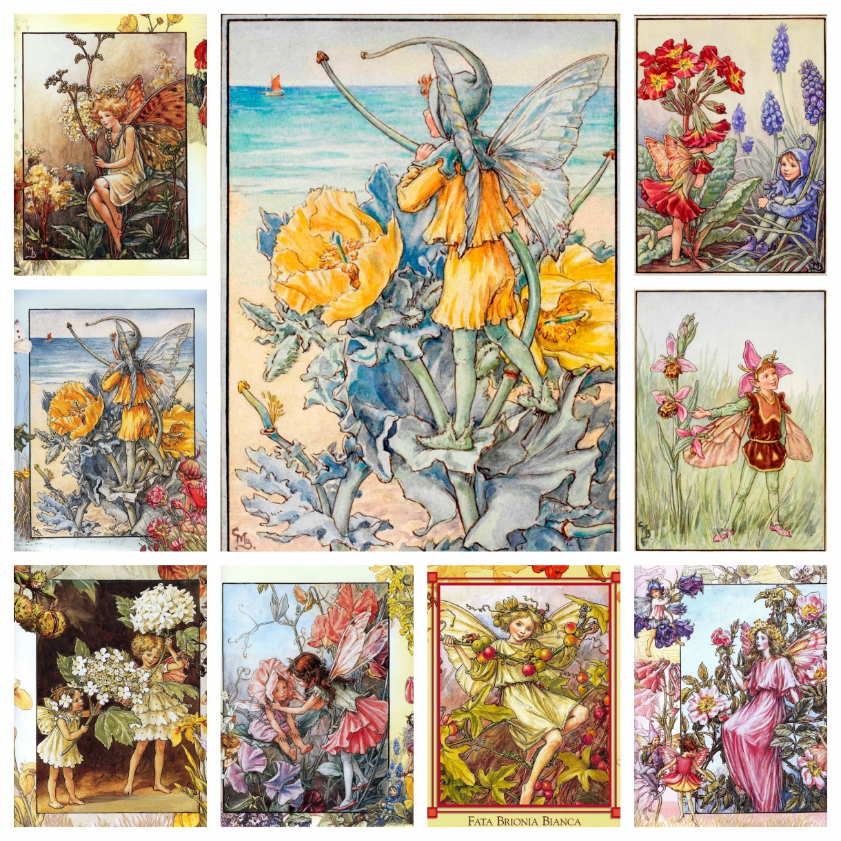 Cicely Mary Barker Artwork Flo - Photo Mosaic Print recension och pris