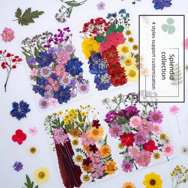 Mixed Dried Flowers, Pressed F - Dried Flower Bookmark recension och pris