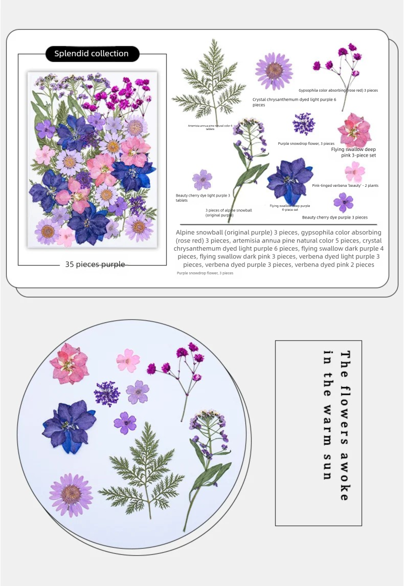 Mixed Dried Flowers, Pressed F - Dried Flower Bookmark recension och pris