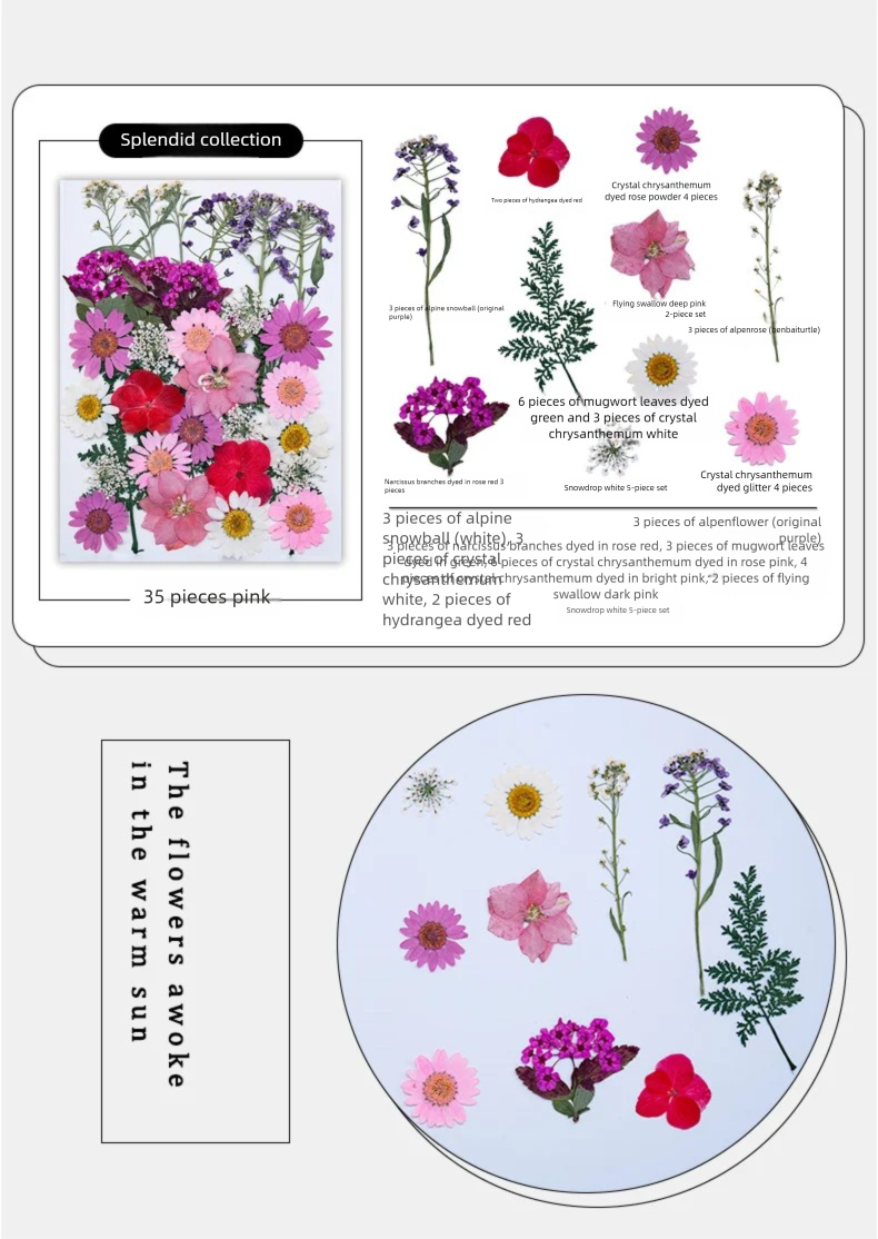 Mixed Dried Flowers, Pressed F - Dried Flower Bookmark recension och pris