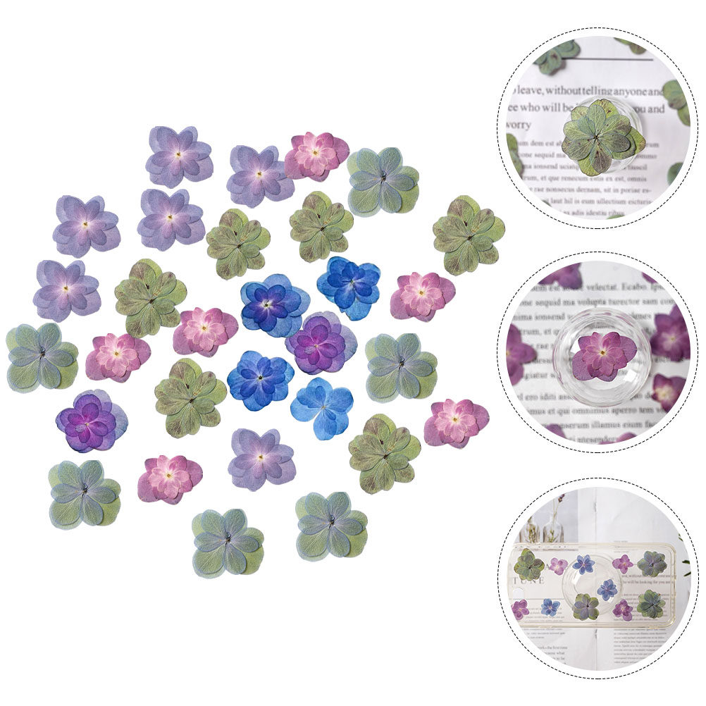 30Pcs Multicolored Pressed Dri - Dried Flower Bookmark recension och pris