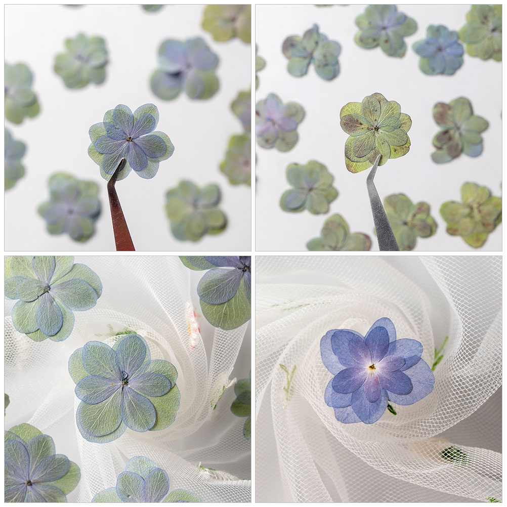 30Pcs Multicolored Pressed Dri - Dried Flower Bookmark recension och pris