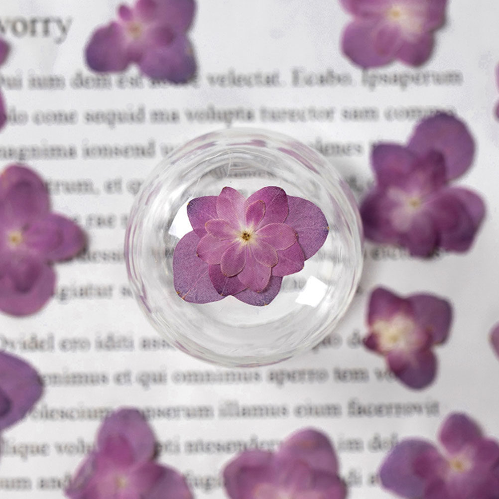 30Pcs Multicolored Pressed Dri - Dried Flower Bookmark recension och pris
