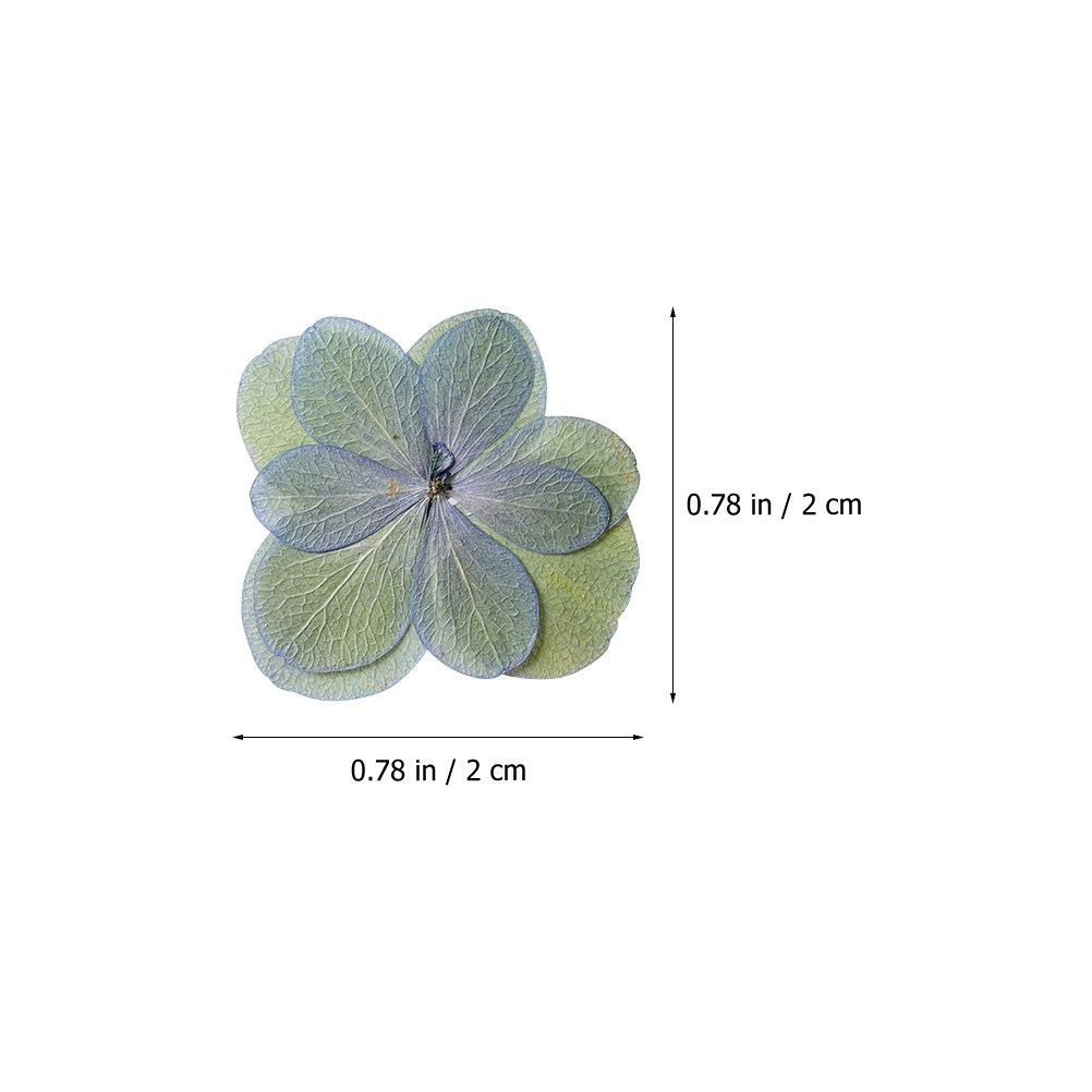 30Pcs Multicolored Pressed Dri - Dried Flower Bookmark recension och pris